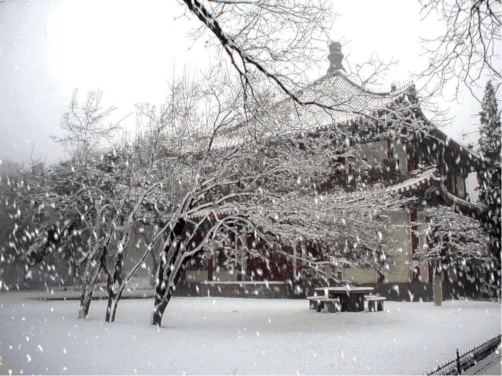 雪白天竹林上的落雪室外下雪摄影图配图高清摄影大图-千库网